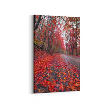 Olla 14577D Doğa / Manzara Görseli Dikey Kanvas Tablo (Ölçü: 40X60)