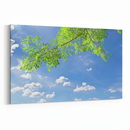 Olla 11004Y Ağaç Görseli Yatay Kanvas Tablo (Ölçü: 30X20)