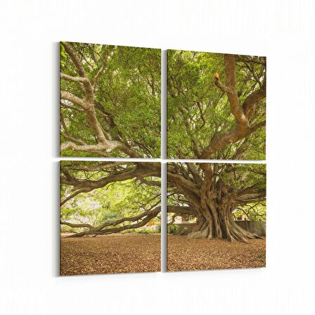 Olla 14268K4 Doğa / Manzara Görseli Kare 4'lü Kanvas Tablo (Ölçü: 145X145)