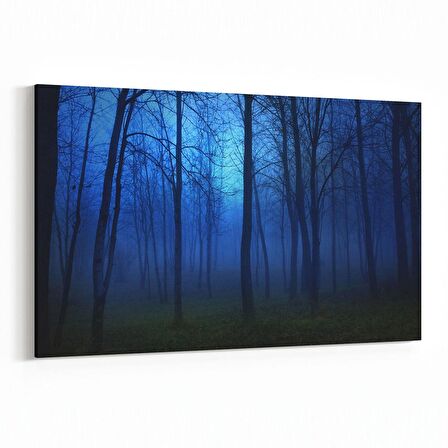 Olla 14492Y Doğa / Manzara Görseli Yatay Kanvas Tablo (Ölçü: 45X30)