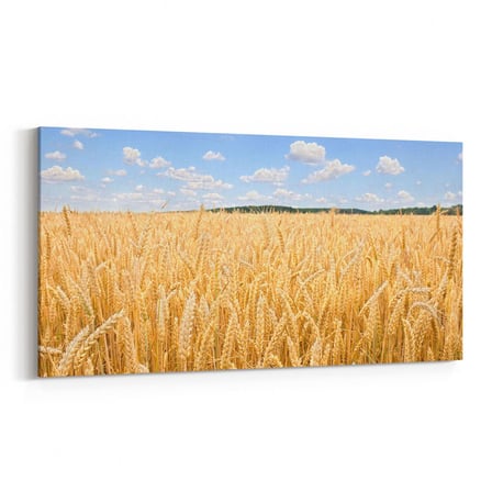 Olla 14284YD Doğa / Manzara Görseli Yatay Dar Kanvas Tablo (Ölçü: 140X70)