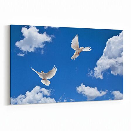 Olla 15836Y Gökyüzü Kuşlar Görseli Yatay Kanvas Tablo (Ölçü: 30X20)