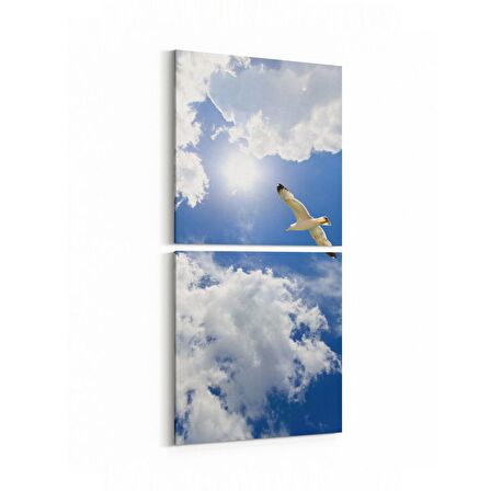 Olla 15832K2D Gökyüzü Kuşlar Görseli Kare 2'li Dikey Kanvas Tablo (Ölçü: 30X65)