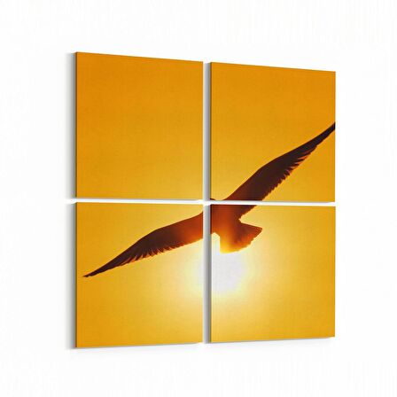 Olla 12524K4 Hayvanlar Alemi Görseli Kare 4'lü Kanvas Tablo (Ölçü: 145X145)