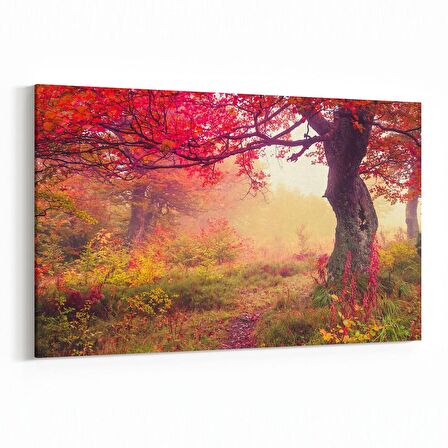 Olla 13708Y Doğa / Manzara Görseli Yatay Kanvas Tablo (Ölçü: 90X60)