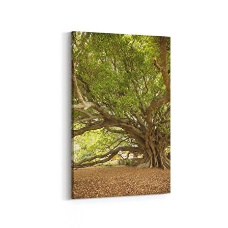 Olla 14268D Doğa / Manzara Görseli Dikey Kanvas Tablo (Ölçü: 60X90)