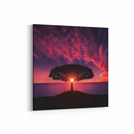 Olla 14137K Doğa / Manzara Görseli Kare Kanvas Tablo (Ölçü: 60X60)