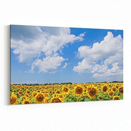 Olla 13715Y Doğa / Manzara Görseli Yatay Kanvas Tablo (Ölçü: 30X20)
