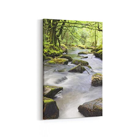 Olla 13469D Doğa / Manzara Görseli Dikey Kanvas Tablo (Ölçü: 60X90)