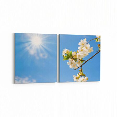 Olla 10465K2Y Ağaç Görseli Kare 2'li Yatay Kanvas Tablo (Ölçü: 85X40)