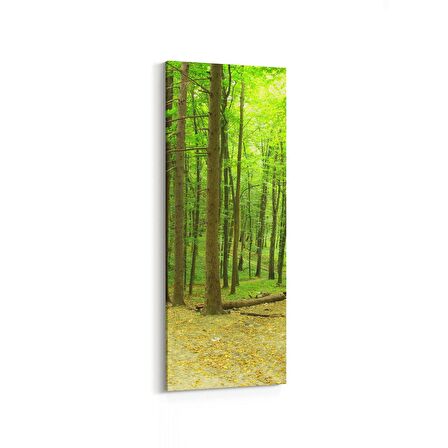 Olla 13946DI Doğa / Manzara Görseli Dikey İnce Kanvas Tablo (Ölçü: 40X120)