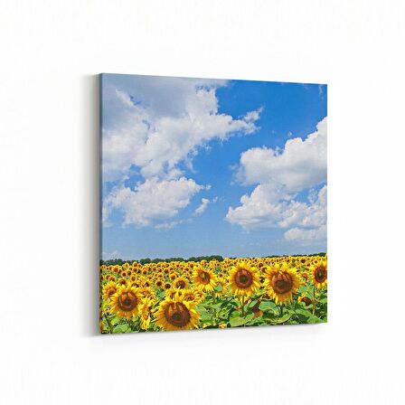 Olla 13715K Doğa / Manzara Görseli Kare Kanvas Tablo (Ölçü: 25X25)