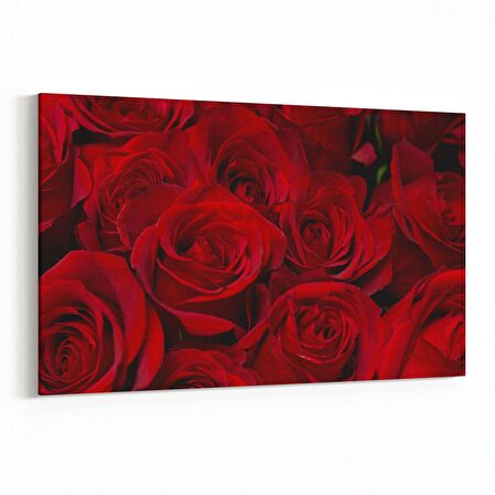 Olla 11557Y Çiçek Görseli Yatay Kanvas Tablo (Ölçü: 150X100)