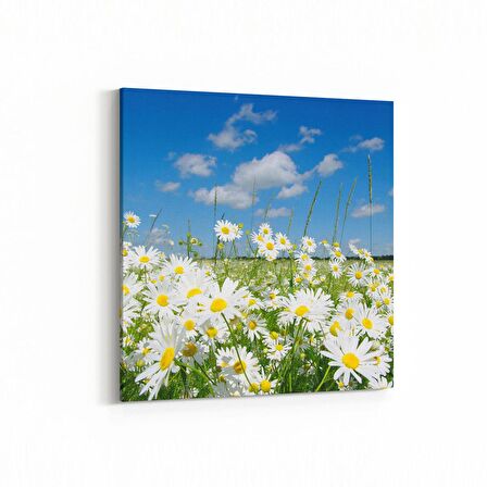 Olla 13569K Doğa / Manzara Görseli Kare Kanvas Tablo (Ölçü: 25X25)