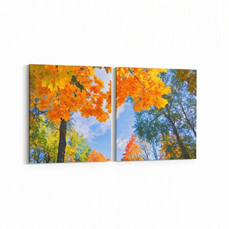 Olla 10661K2Y Ağaç Görseli Kare 2'li Yatay Kanvas Tablo (Ölçü: 125X60)