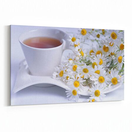 Olla 15113Y Gıda Görseli Yatay Kanvas Tablo (Ölçü: 45X30)