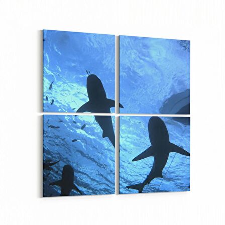 Olla 12924K4 Deniz / Okyanus Görseli Kare 4'lü Kanvas Tablo (Ölçü: 125X125)