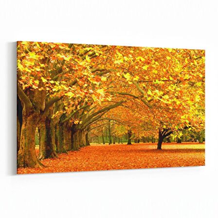 Olla 14088Y Doğa / Manzara Görseli Yatay Kanvas Tablo (Ölçü: 70X50)