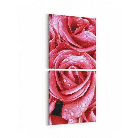 Olla 11640K2D Çiçek Görseli Kare 2'li Dikey Kanvas Tablo (Ölçü: 30X65)