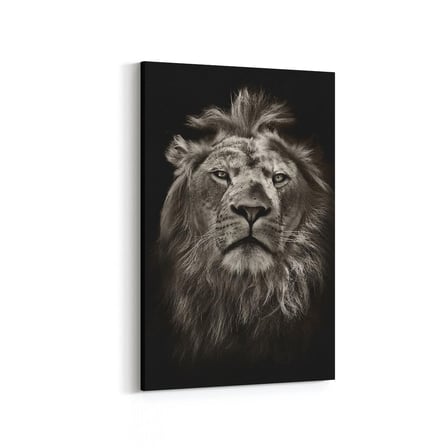 Olla 12501D Hayvanlar Alemi Görseli Dikey Kanvas Tablo (Ölçü: 20X30)
