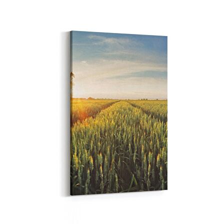Olla 13889D Doğa / Manzara Görseli Dikey Kanvas Tablo (Ölçü: 100X150)