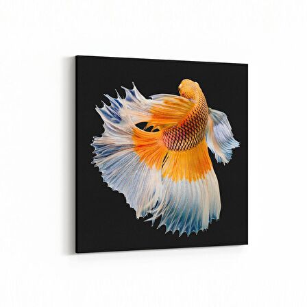 Olla 12616K Hayvanlar Alemi Görseli Kare Kanvas Tablo (Ölçü: 30X30)