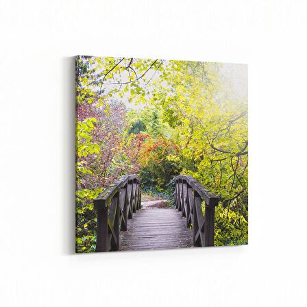 Olla 13276K Doğa / Manzara Görseli Kare Kanvas Tablo (Ölçü: 25X25)