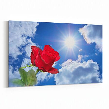 Olla 10825Y Ağaç Görseli Yatay Kanvas Tablo (Ölçü: 90X60)