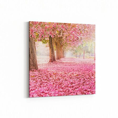 Olla 14347K Doğa / Manzara Görseli Kare Kanvas Tablo (Ölçü: 60X60)