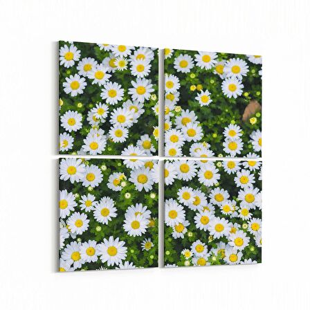 Olla 11568K4 Çiçek Görseli Kare 4'lü Kanvas Tablo (Ölçü: 65X65)
