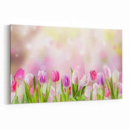 Olla 11712Y Orkide Çiçek Görseli Yatay Kanvas Tablo (Ölçü: 120X80)