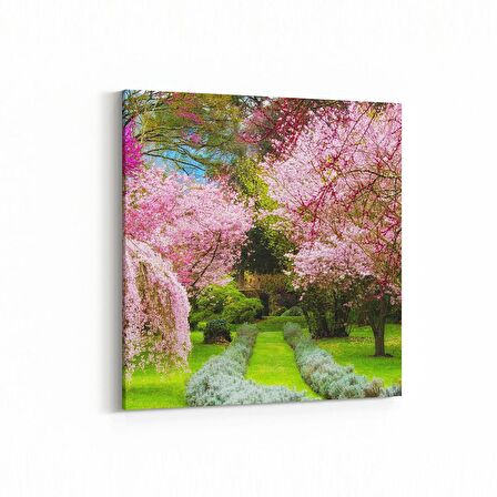 Olla 13895K Doğa / Manzara Görseli Kare Kanvas Tablo (Ölçü: 30X30)