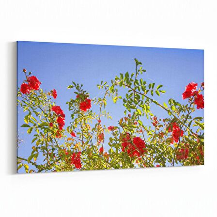 Olla 10707Y Ağaç Görseli Yatay Kanvas Tablo (Ölçü: 120X80)