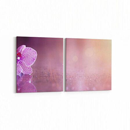 Olla 11724K2Y Orkide Çiçek Görseli 2'li Yatay Kanvas Tablo (Ölçü: 125X60)