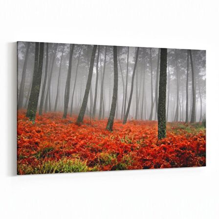Olla 14280Y Doğa / Manzara Görseli Yatay Kanvas Tablo (Ölçü: 30X20)