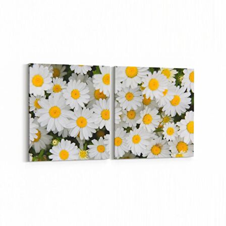 Olla 11630K2Y Çiçek Görseli Kare 2'li Yatay Kanvas Tablo (Ölçü: 125X60)