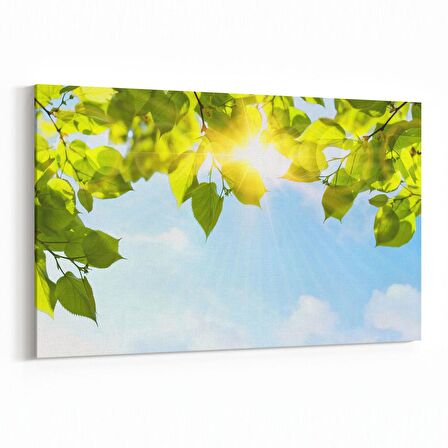 Olla 10558Y Ağaç Görseli Yatay Kanvas Tablo (Ölçü: 120X80)