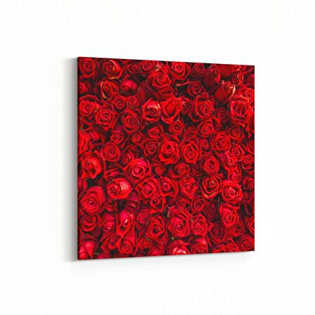 Olla 11603K Çiçek Görseli Kare Kanvas Tablo (Ölçü: 100X100)