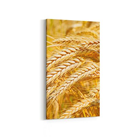 Olla 15127DD Gıda Görseli Dikey Dar Kanvas Tablo (Ölçü: 40X80)