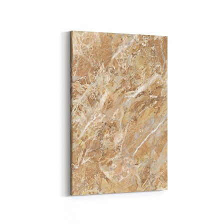 Olla 16696D Mermer Desen Görsel Dikey Kanvas Tablo (Ölçü: 60X90)