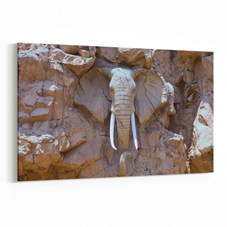 Olla 12562Y Hayvanlar Alemi Görseli Yatay Kanvas Tablo (Ölçü: 70X50)