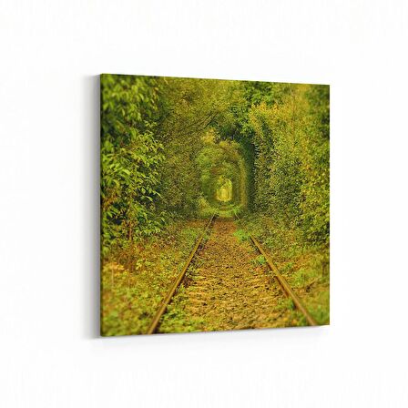 Olla 13903K Doğa / Manzara Görseli Kare Kanvas Tablo (Ölçü: 60X60)