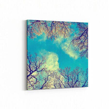Olla 10693K Ağaç Görseli Kare Kanvas Tablo (Ölçü: 25X25)