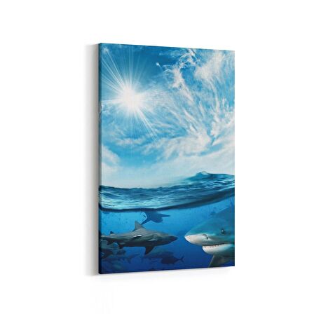 Olla 12879D Deniz / Okyanus Görseli Dikey Kanvas Tablo (Ölçü: 80X120)