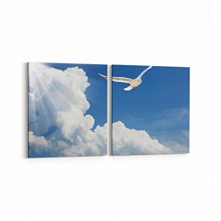 Olla 15894K2Y Gökyüzü Kuşlar Görseli Kare 2'li Yatay Kanvas Tablo (Ölçü: 65X30)