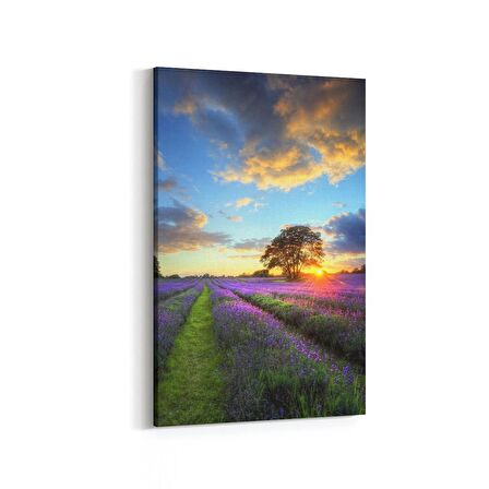 Olla 16114D Günbatımı Görseli Dikey Kanvas Tablo (Ölçü: 40X60)