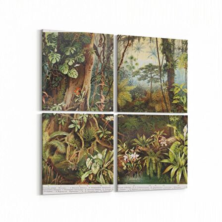 Olla 13159K4 Doğa / Manzara Görseli Kare 4'lü Kanvas Tablo (Ölçü: 145X145)