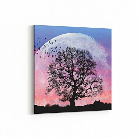 Olla 14159K Doğa / Manzara Görseli Kare Kanvas Tablo (Ölçü: 25X25)