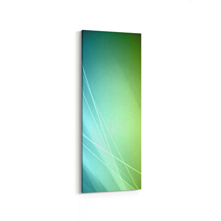 Olla 10069DI Abstract Görsel Dikey İnce Kanvas Tablo (Ölçü: 40X120)