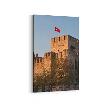 Olla 18391D Yapı Görseli Dikey Kanvas Tablo (Ölçü: 60X90)